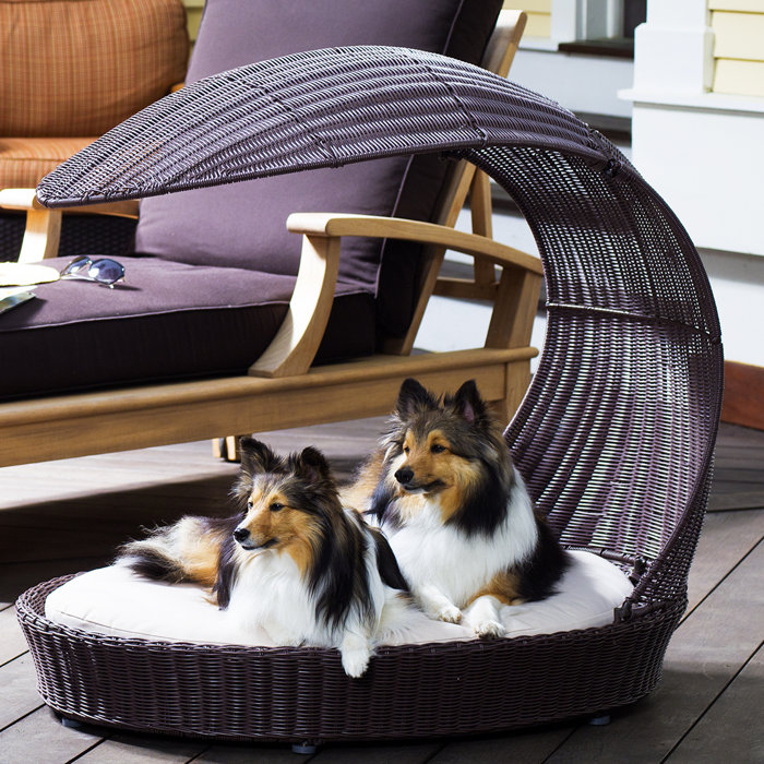 Archie & Oscar™ Clara Outdoor Hooded Dog Bed & Reviews Wayfair